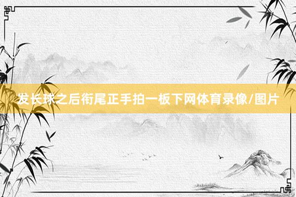 发长球之后衔尾正手拍一板下网体育录像/图片