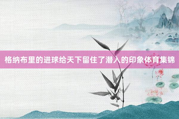 格纳布里的进球给天下留住了潜入的印象体育集锦