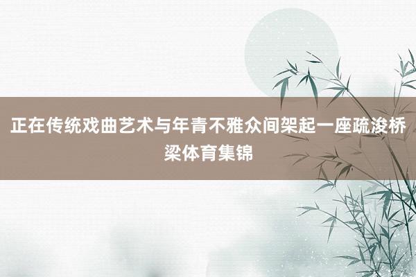 正在传统戏曲艺术与年青不雅众间架起一座疏浚桥梁体育集锦
