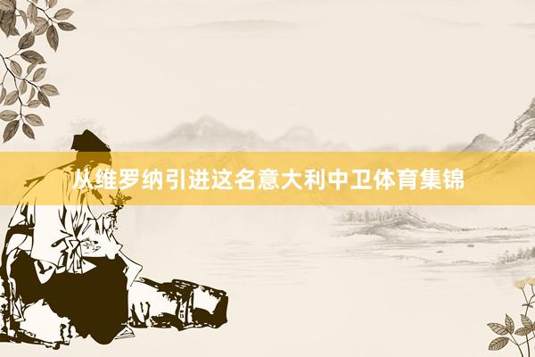 从维罗纳引进这名意大利中卫体育集锦