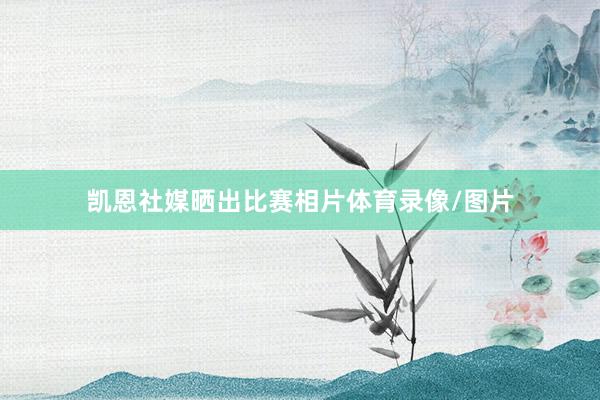 凯恩社媒晒出比赛相片体育录像/图片