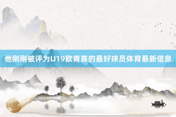 他刚刚被评为U19欧青赛的最好球员体育最新信息