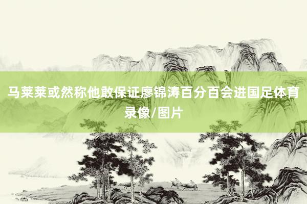 马莱莱或然称他敢保证廖锦涛百分百会进国足体育录像/图片