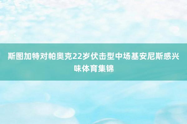 斯图加特对帕奥克22岁伏击型中场基安尼斯感兴味体育集锦