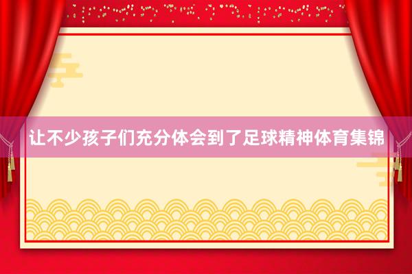 让不少孩子们充分体会到了足球精神体育集锦