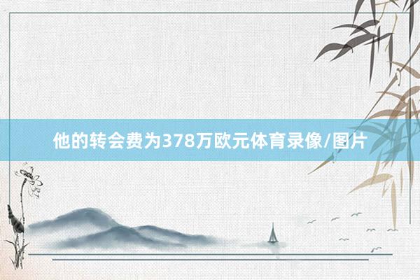 他的转会费为378万欧元体育录像/图片