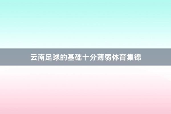 云南足球的基础十分薄弱体育集锦