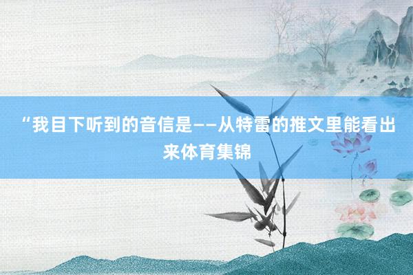 “我目下听到的音信是——从特雷的推文里能看出来体育集锦