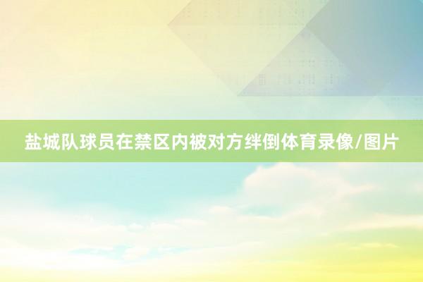 盐城队球员在禁区内被对方绊倒体育录像/图片