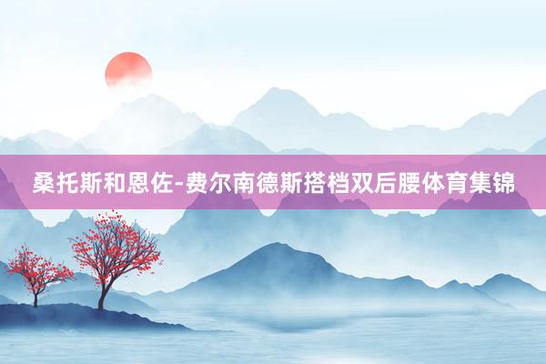 桑托斯和恩佐-费尔南德斯搭档双后腰体育集锦