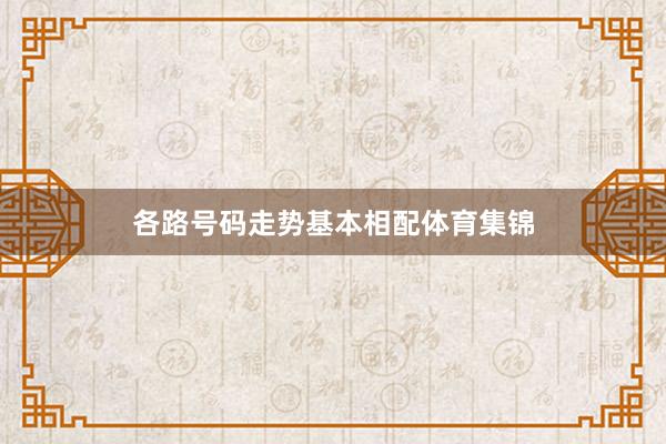 各路号码走势基本相配体育集锦