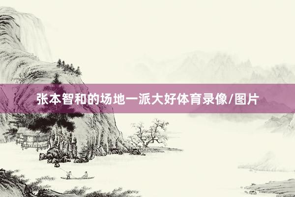 张本智和的场地一派大好体育录像/图片